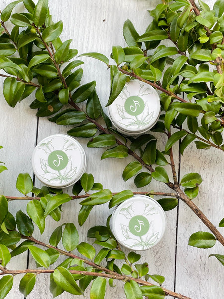 Bayberry Candle | Noteology