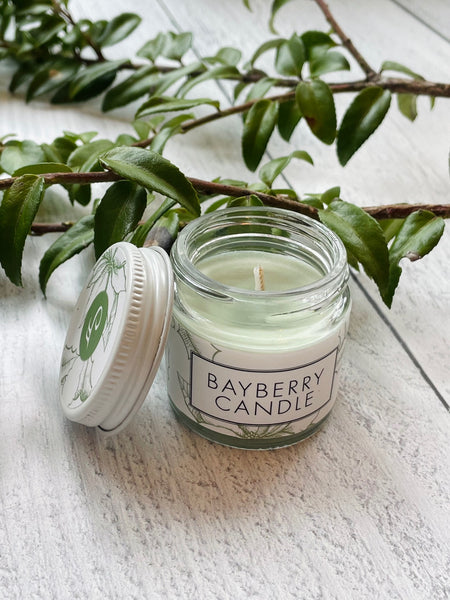 Bayberry Candle | Noteology