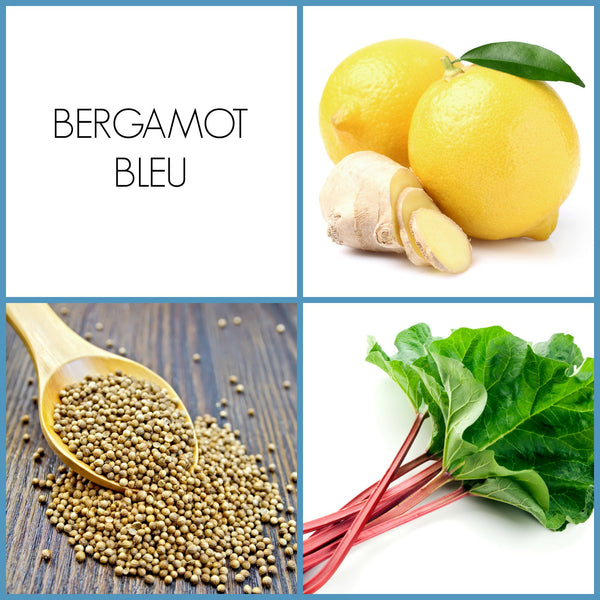 Bergamot Bleu Eau de Parfum | Noteology
