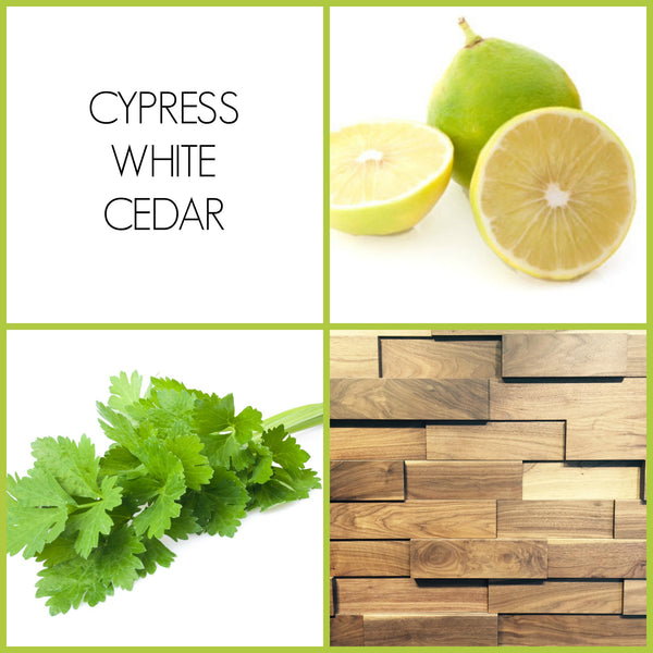 Cypress White Cedar Sample | Noteology