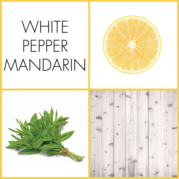 White Pepper Mandarin Eau de Parfum | Noteology