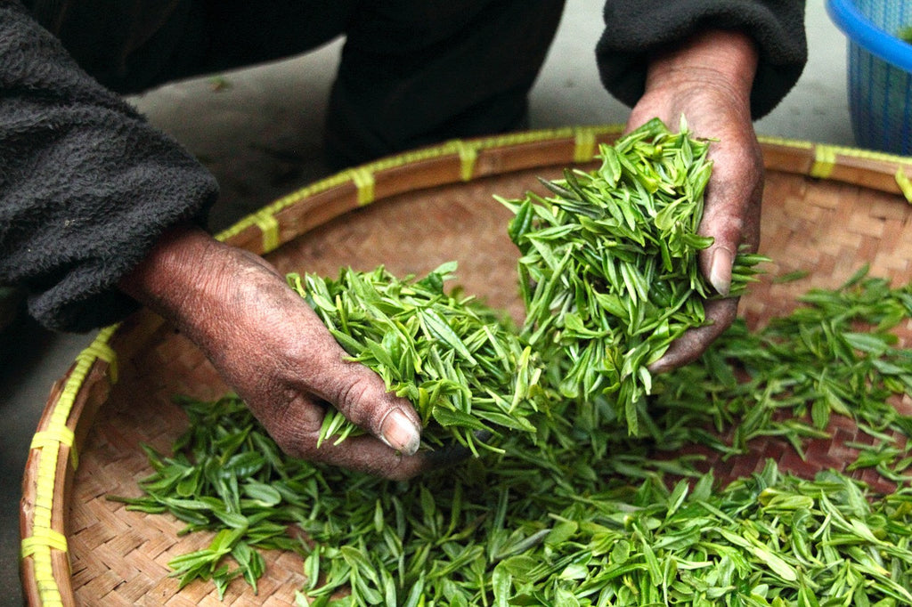 It's Tea Time! Sniff Your Way Through That Perfect Cup of Tea