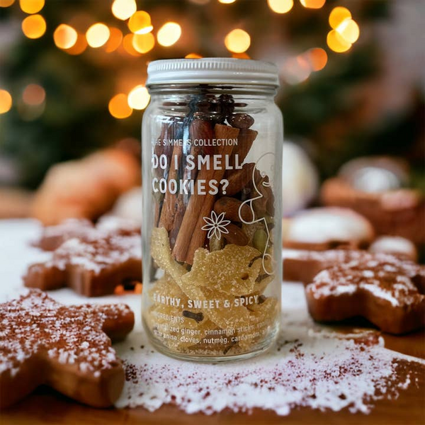 Holiday Stovetop Simmer Pots