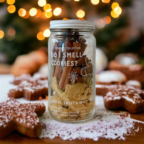 Holiday Stovetop Simmer Pots