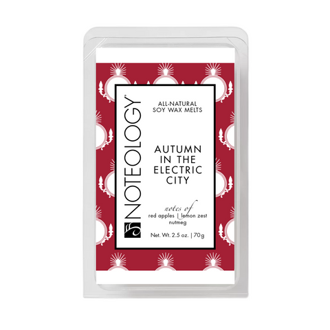 Autumn in the Electric City | Wax Melts