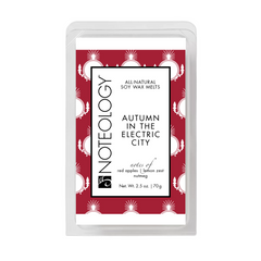 Autumn in the Electric City Wax Melts