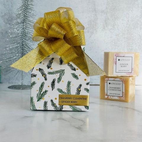 Shea Butter Soap Duo Holiday Gift Set