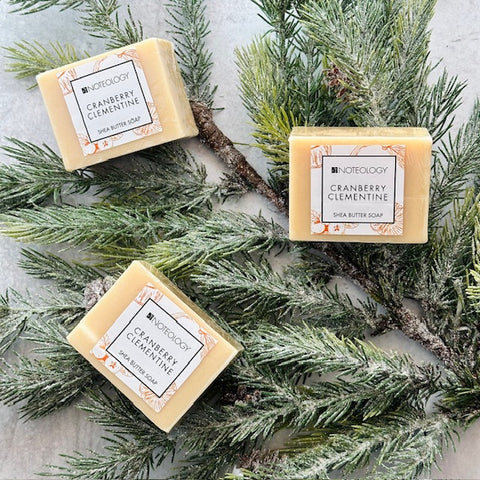 Cranberry Clementine Bar Soap | Noteology