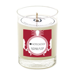 Autumn in the Electric City Candle
