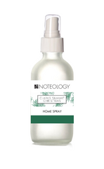 Clarks Summit Christmas Home Spray