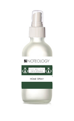 Electric City Christmas Home Spray