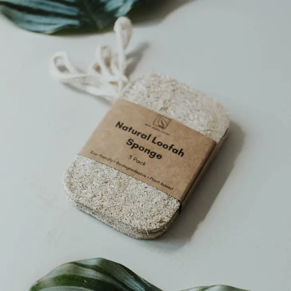 3 Pack Natural Loofah Sponge