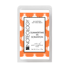 Summertime in Scranton Wax Melts