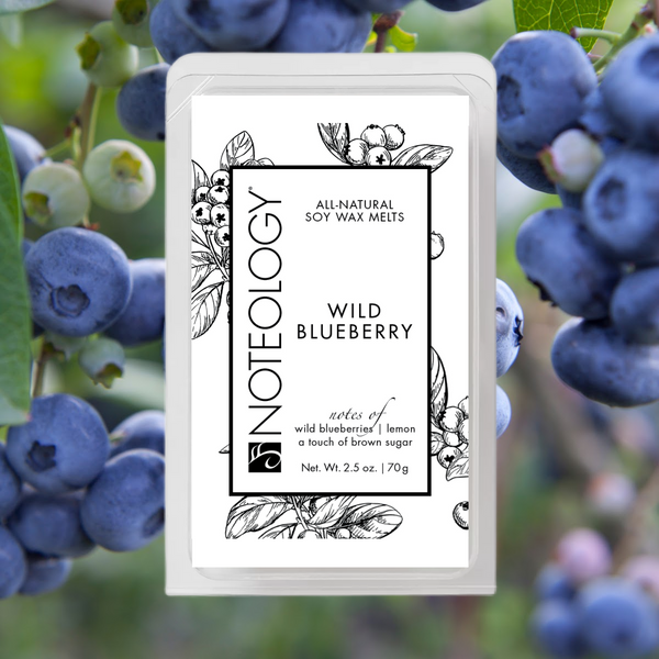 Wild Blueberry Wax Melts | Noteology