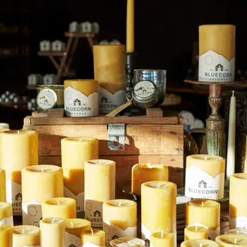 Bluecorn Beeswax