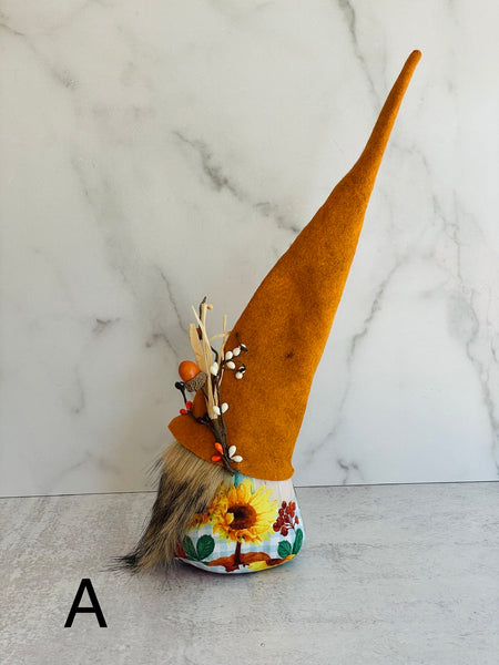 Gnome A