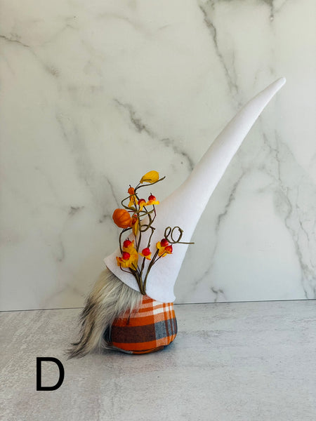 Gnome D
