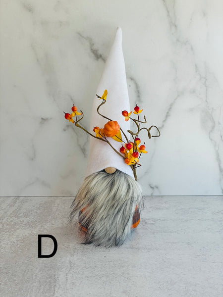 Gnome D