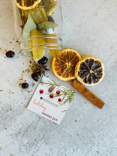 Holiday Simmer Pot | Notology