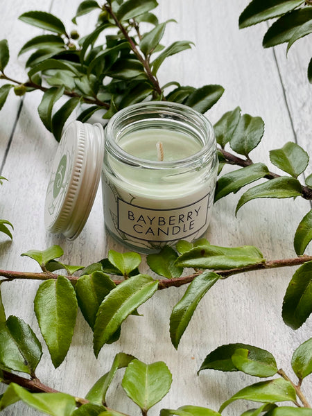 Bayberry Candle | Noteology