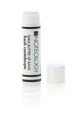 Fresh Cantaloupe Shea Butter Lip Balm