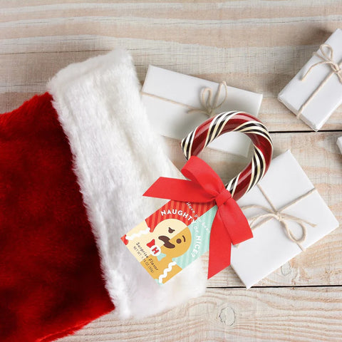 Hammond's Candy Canes & Chocolate Dunking Spoons