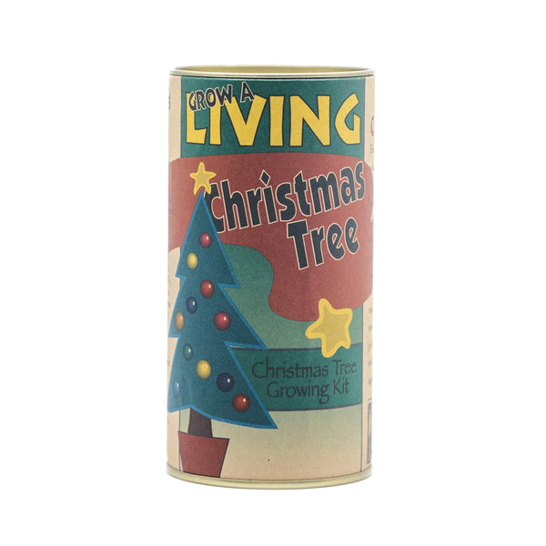 Living Christmas Tree & Bee Pollinator Kits