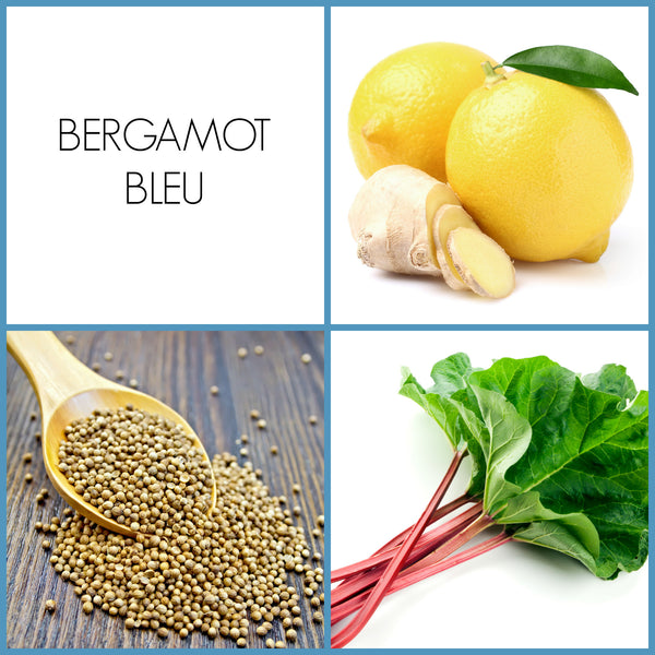 Bergamot Bleu 2 ML Fragrance Sample | Noteology