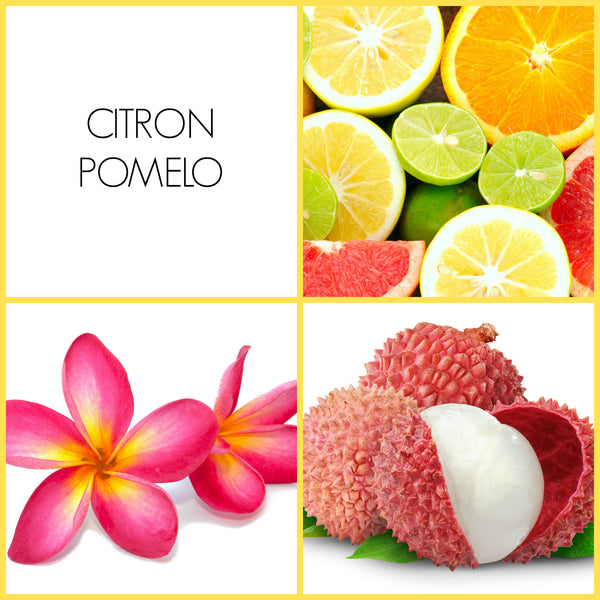 Citron Pomelo 2 ml Sample | Noteology