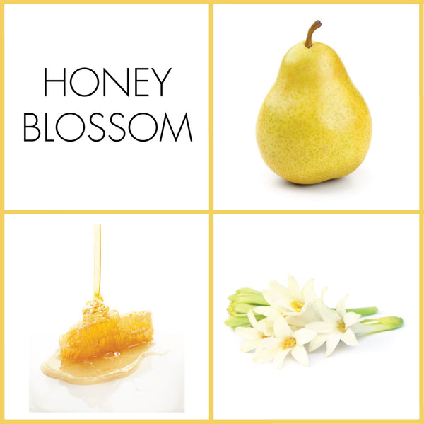 Honey Blossom Sample | Noteology
