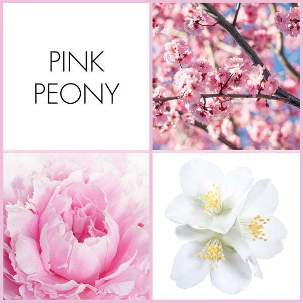 Pink Peony Sample | Noteology