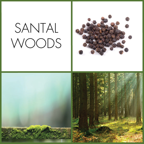 Santal Woods Sample