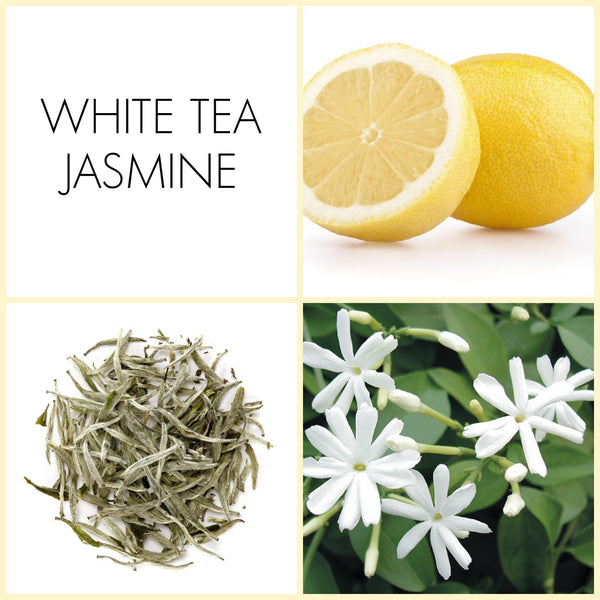 White Tea Jasmine 2 ML Fragrance Sample | Noteology